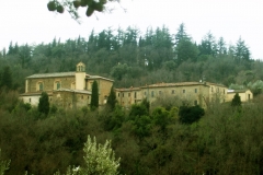 Le Monastère de Sargiano entouré par les bois